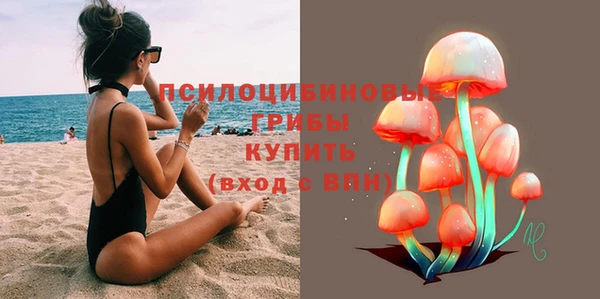 СК Балахна